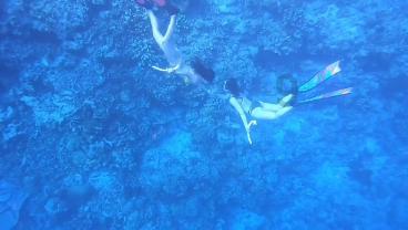 程晓玥回澳洲婆家度假,9个月胖豆近状曝光,与父亲首次体验游泳
